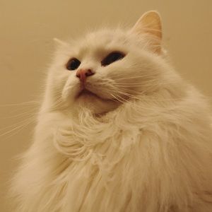 Meet your Posher, Maddy